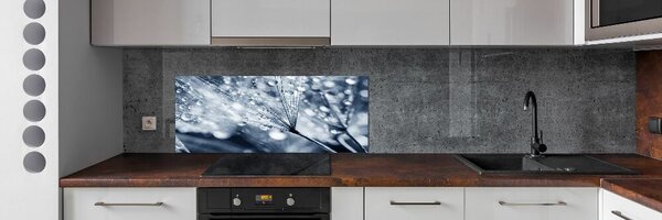 Panel do kuchyně Semeno pampelišky pksh-135676098