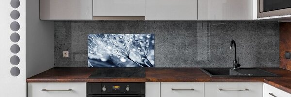 Panel do kuchyně Semeno pampelišky pksh-135676098
