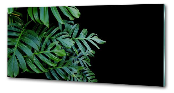 Skleněný panel do kuchynské linky Monstera pksh-136056099