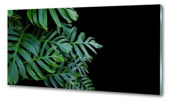 Skleněný panel do kuchynské linky Monstera pksh-136056099