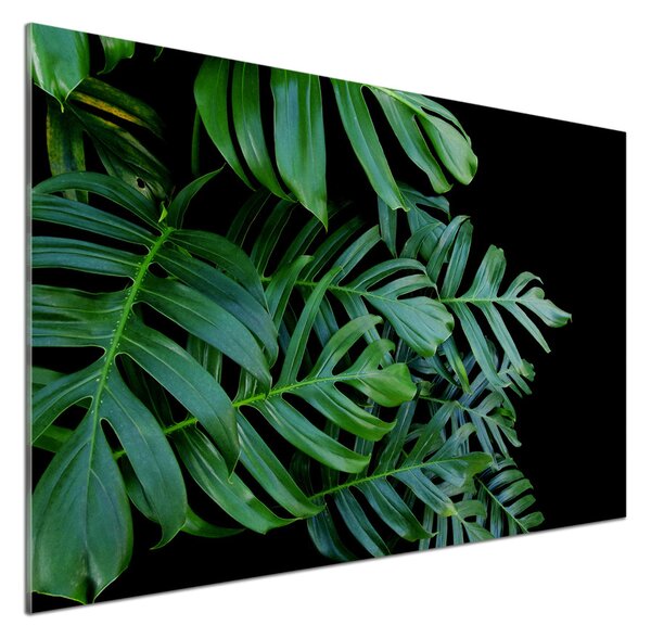 Skleněný panel do kuchynské linky Monstera pksh-136056099