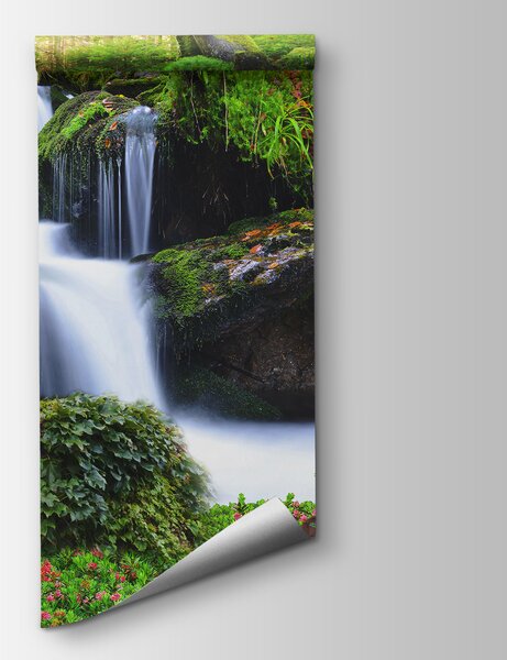 Fototapeta Lev ležící na skále u vodopádu, Fototapety se zvířaty, Populární fototapety, u62920 - Tapeko.co.cz