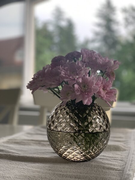 Skloglass Váza DAHLIA 150mm Kouřová Barvy: Kouřová