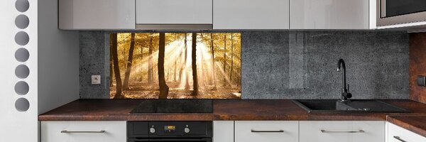 Dekorační panel sklo Podzimní les pksh-140215873