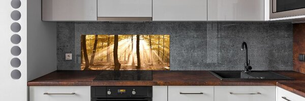 Dekorační panel sklo Podzimní les pksh-140215873