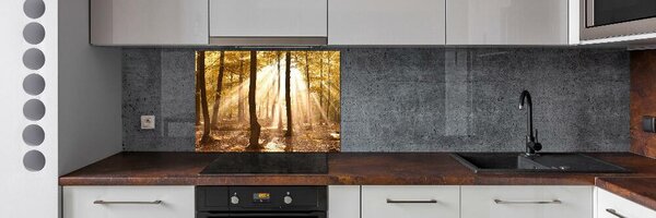 Dekorační panel sklo Podzimní les pksh-140215873