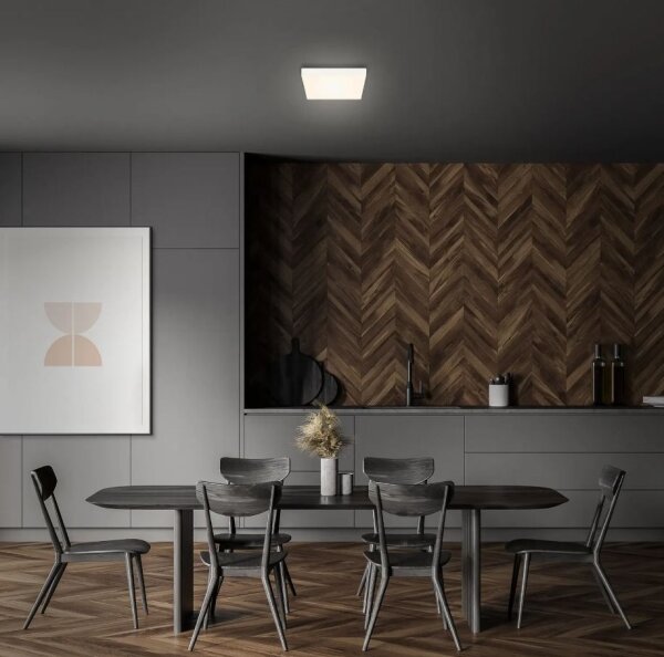 Briloner 7070-016 - LED Stropní svítidlo FLAME LED/16W/230V bílá