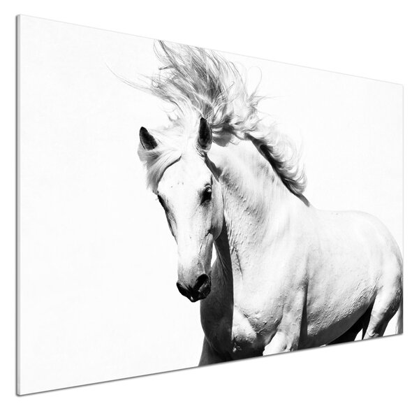 Skleněný panel do kuchynské linky Bílý kůň pksh-14270832