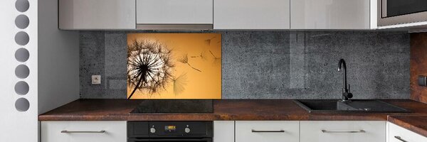 Dekorační panel sklo Pampeliška pksh-142874963