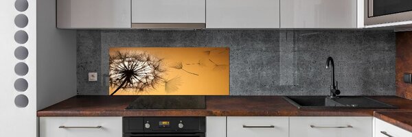 Dekorační panel sklo Pampeliška pksh-142874963