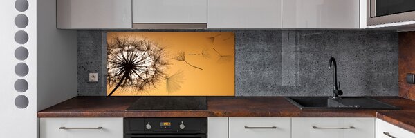 Dekorační panel sklo Pampeliška pksh-142874963