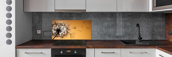Dekorační panel sklo Pampeliška pksh-142874963