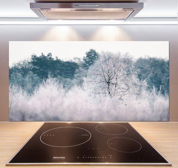 Dekorační panel sklo Stromy zimou pksh-142936706