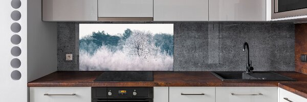 Dekorační panel sklo Stromy zimou pksh-142936706