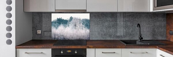 Dekorační panel sklo Stromy zimou pksh-142936706