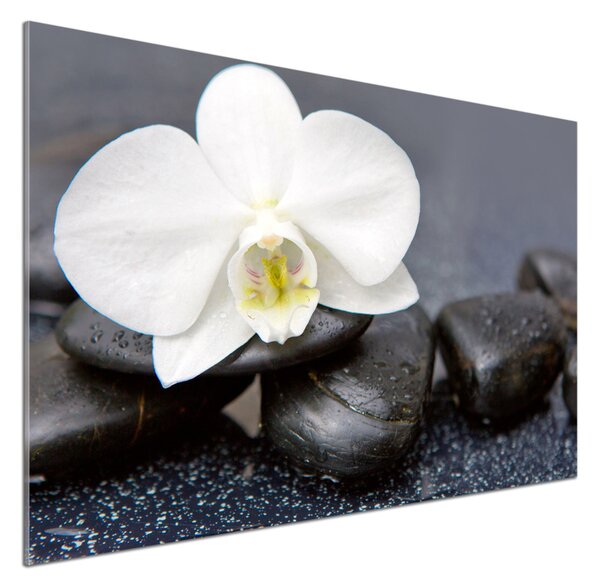 Skleněný panel do kuchynské linky Orchidej pksh-143014442