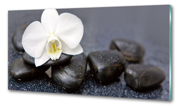 Skleněný panel do kuchynské linky Orchidej pksh-143014442