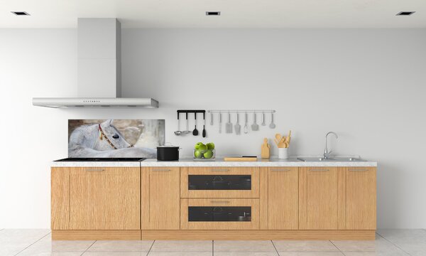 Panel do kuchyně Bílý arabský kůň pksh-143185113