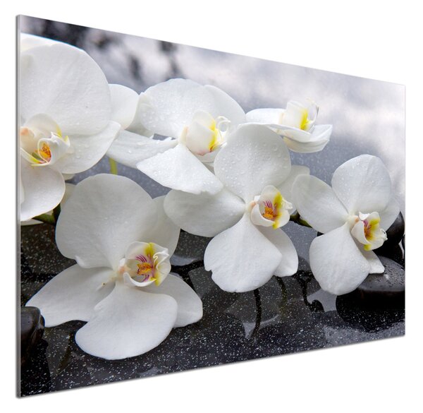 Skleněný panel do kuchynské linky Orchidej pksh-143985624