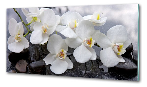 Skleněný panel do kuchynské linky Orchidej pksh-143985624