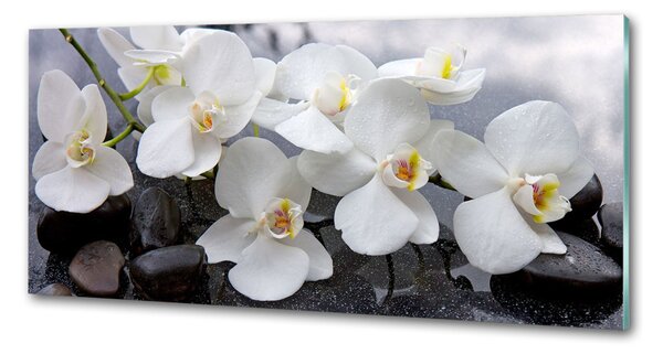 Skleněný panel do kuchynské linky Orchidej pksh-143985624