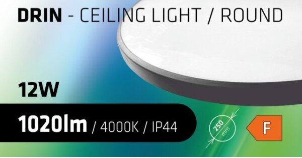 LED Koupelnové stropní svítidlo CIRCLE LED/12W/230V 4000K pr. 25 cm IP44 černá