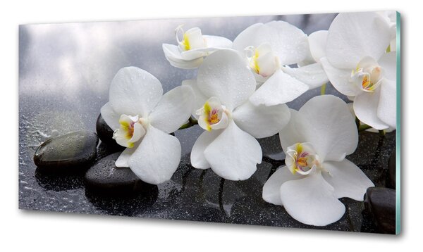 Skleněný panel do kuchynské linky Orchidej pksh-144310520