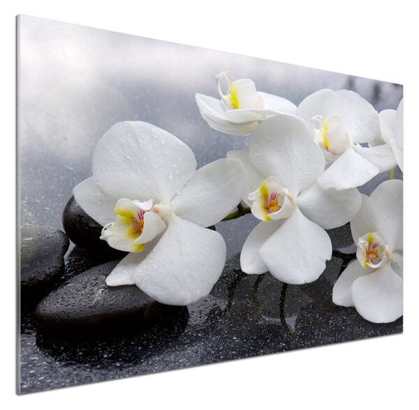 Skleněný panel do kuchynské linky Orchidej pksh-144310520