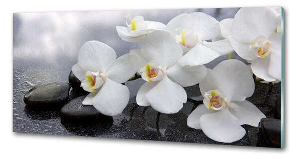 Skleněný panel do kuchynské linky Orchidej pksh-144310520