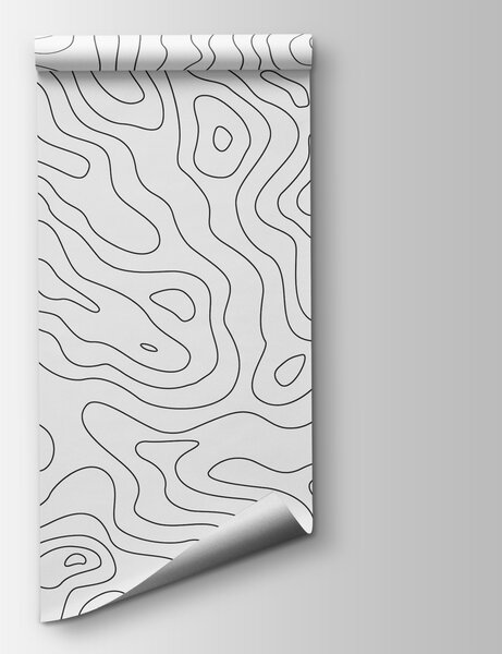 Fototapeta Černobílé obrysové linie, Fototapeta s mapou světa, Populární fototapety, u70650 - Tapeko.co.cz