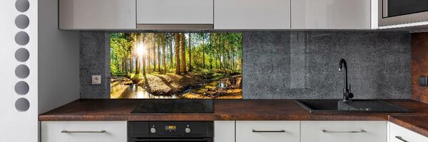 Dekorační panel sklo Panorama les pksh-145813283