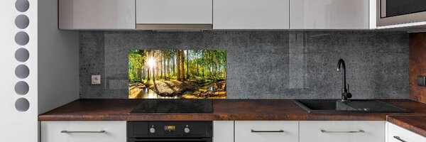 Dekorační panel sklo Panorama les pksh-145813283
