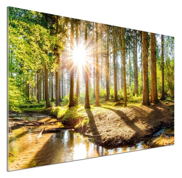 Dekorační panel sklo Panorama les pksh-145813283