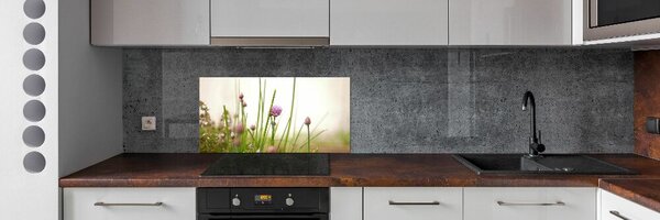 Dekorační panel sklo Pažitka pksh-146011215