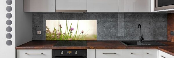 Dekorační panel sklo Pažitka pksh-146011215