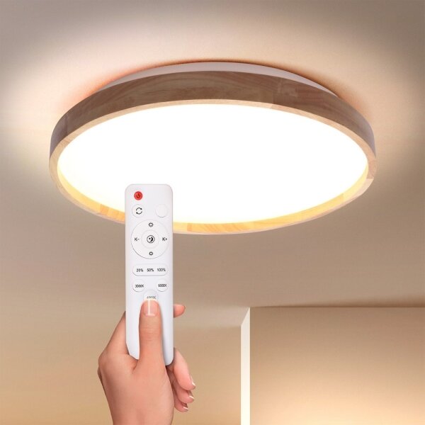 Brilagi - LED Stmívatelné stropní svítidlo ALSON LED/48W/230V 3000-6500K + DO