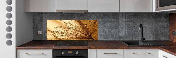 Panel do kuchyně Semeno pampelišky pksh-15712823