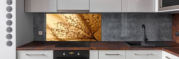 Panel do kuchyně Semeno pampelišky pksh-15712823