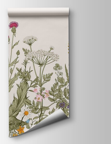 Fototapeta Řada květin a rostlin, Designové fototapety na zeď, Populární fototapety, u71743 - Tapeko.co.cz