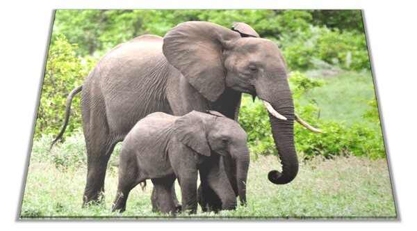 Skleněné prkénko slonice a slůně v přírodě - 30x20cm