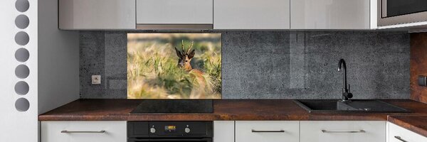 Dekorační panel sklo Jelen na poli pksh-159154128