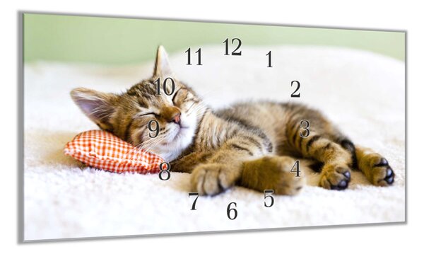 Nástěnné hodiny 30x60cm spící kotě - plexi