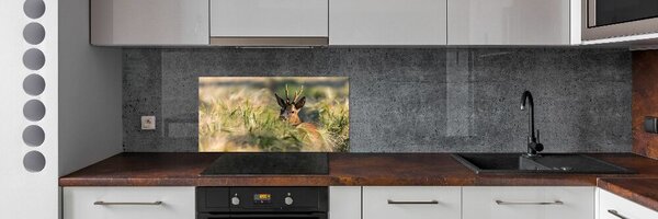 Dekorační panel sklo Jelen na poli pksh-159154128
