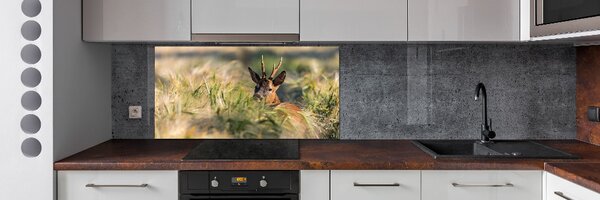 Dekorační panel sklo Jelen na poli pksh-159154128
