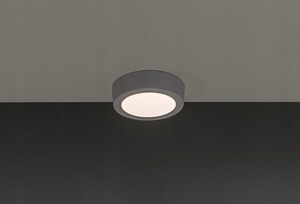 LED Stropní svítidlo GERRIT LED/6W/230V 3000K