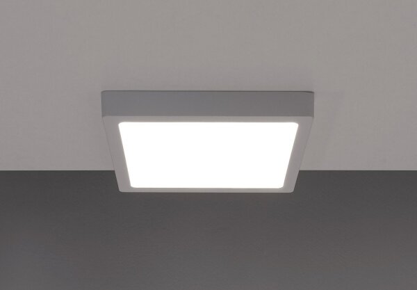 LED Stropní svítidlo GERRY LED/6W/230V 4000K
