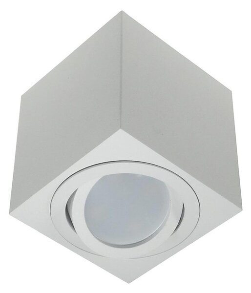 Bodové svítidlo FEBE 1xGU10/30W/230V bílá