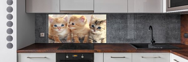 Skleněný panel do kuchynské linky Malé kočky pksh-159538391