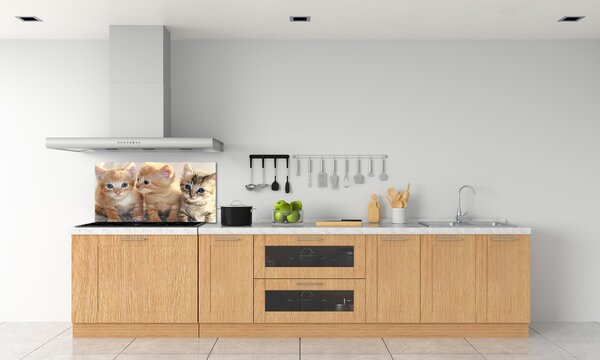 Skleněný panel do kuchynské linky Malé kočky pksh-159538391