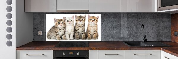 Skleněný panel do kuchynské linky Malé kočky pksh-159885002